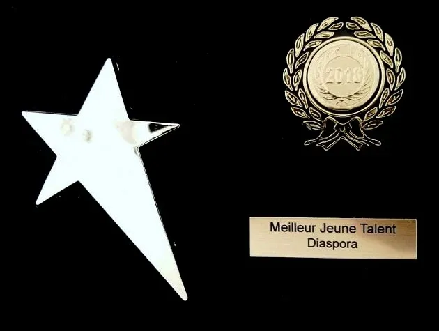 Trophées et distinctions reçus par BSEAN Production