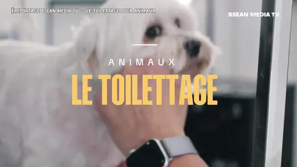 Montage — Essentiel · BSEAN Production à Nice
