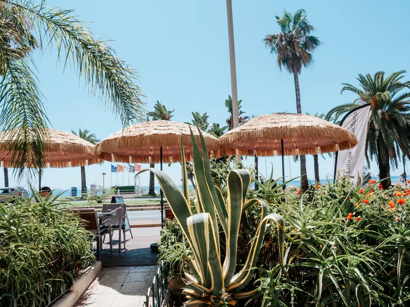 Terrasse du Blue Beach avec parasols en paille et palmiers