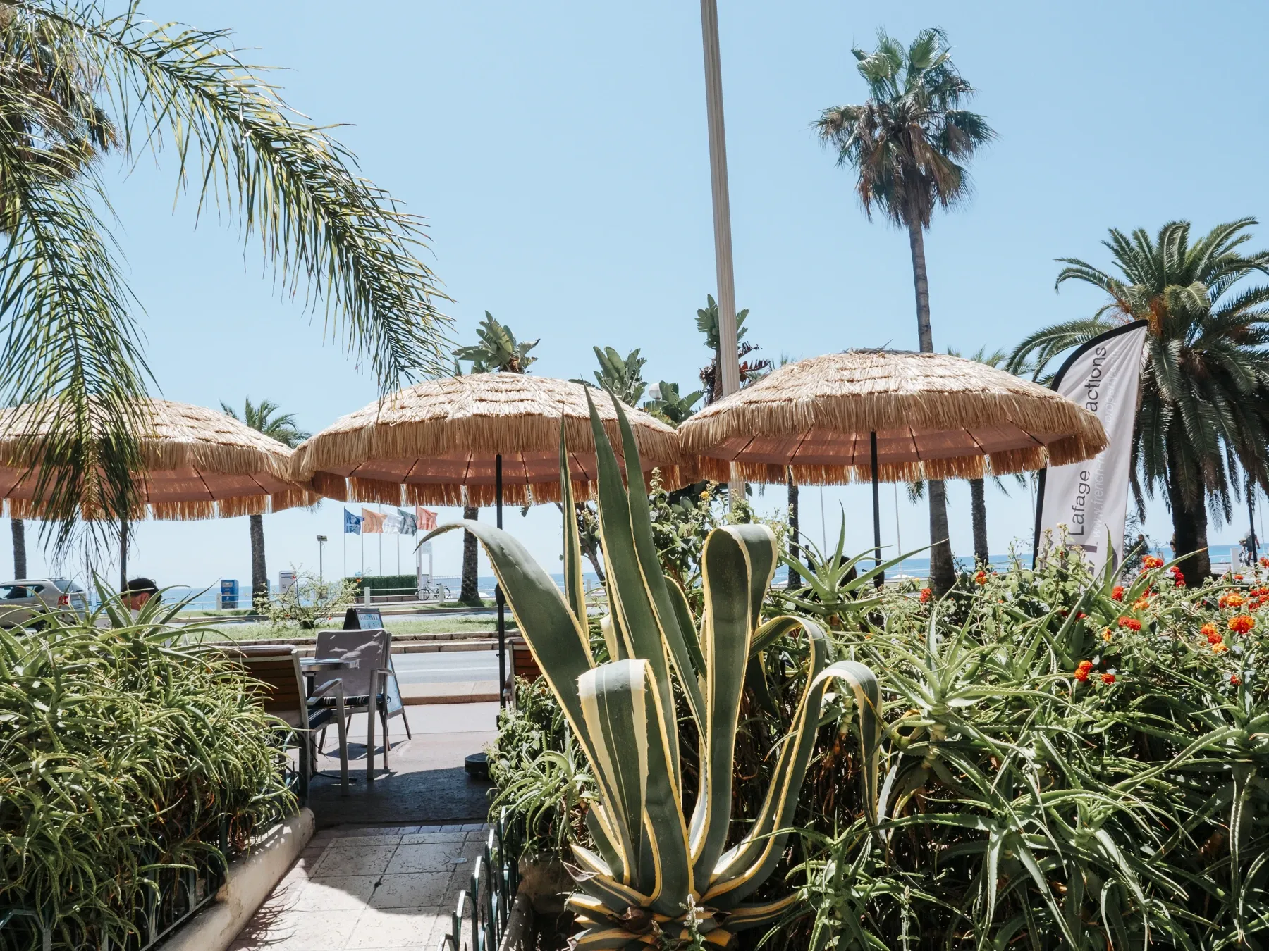 Terrasse de restaurant avec parasols et palmiers, photographie BSEAN